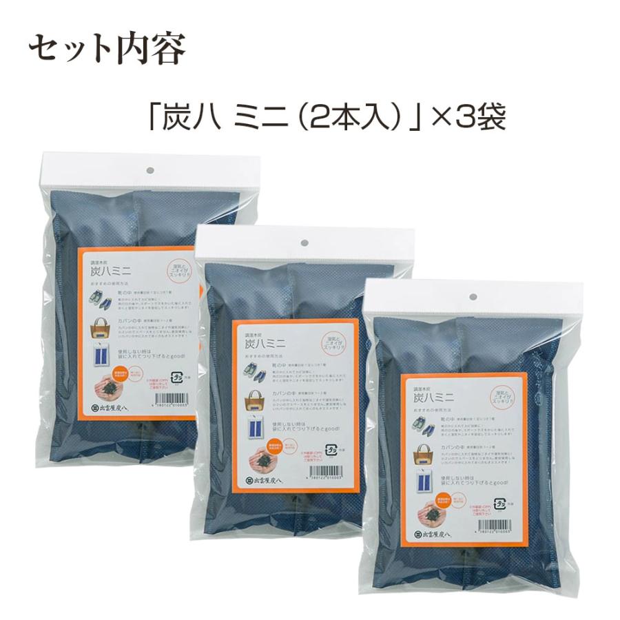 新品 正規品 出雲カーボン 炭八 ミニ ネイビー ２本入り ２0袋 出雲カーボン 炭八 ミニ 0.2L×2 靴用 ネイビー 2本入×3セット ｜ すみ