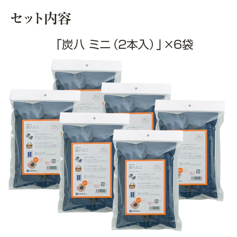 出雲カーボン 炭八 ミニ 0.2L×2 靴用 ネイビー 2本入×6セット ｜ すみ