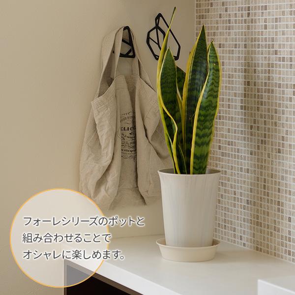 リッチェル フォーレ プレート 8号 ホワイト(W) | 受け皿 プレート プランタープレート おしゃれ プランター 鉢 園芸鉢 ガーデニング|yh-beans|03