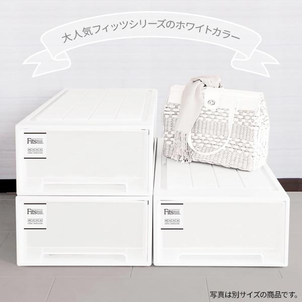 Fits 収納ケース フィッツケース モノ クローゼット 幅30×奥行53×高さ