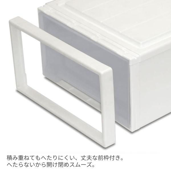 Fits 収納ケース フィッツケース モノ クローゼット 幅39×奥行53×高さ