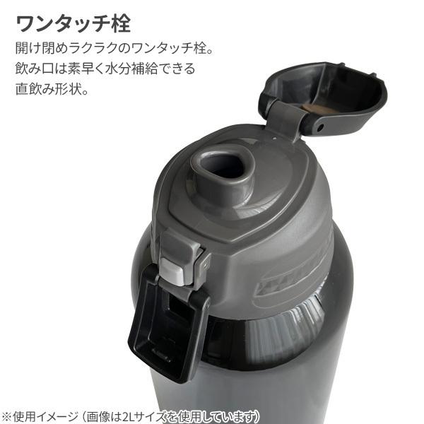 和平フレイズ 水筒 フォルテック ワンタッチ栓 ダイレクトボトル 600ml