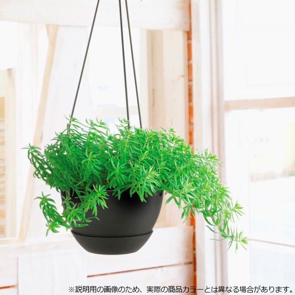 リッチェル 植木鉢 ハンギングボール プレーン 5号 グレー(GY