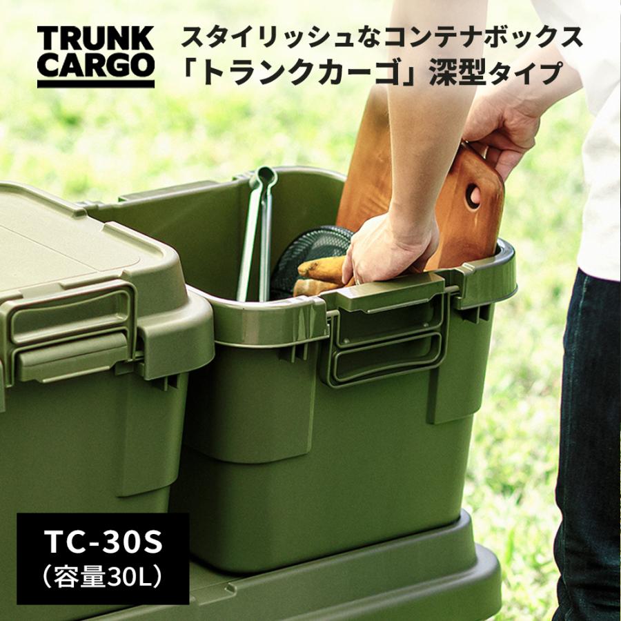 RISU（リス） アウトドア 収納ボックス 深型 トランクカーゴ TC-30S