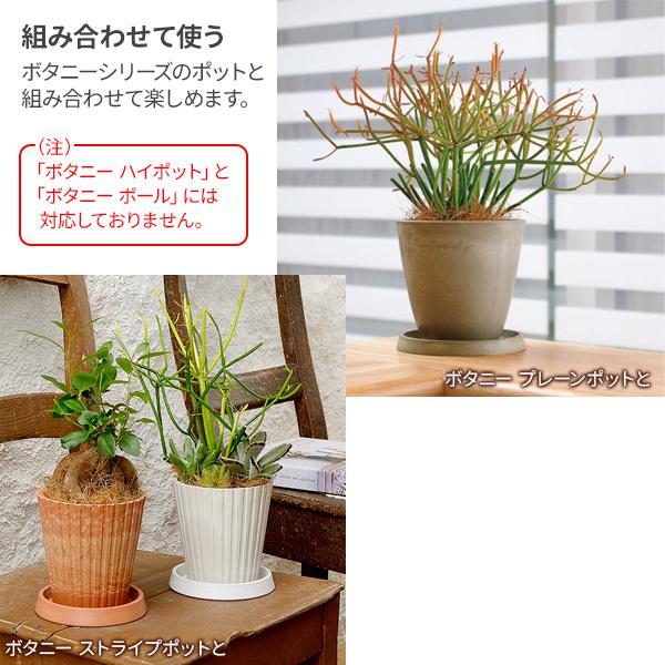 在庫あり 即出荷可 リッチェル ボタニー プレート 15型 グリーン Gr 受け皿 丸 プランタープレート おしゃれ プランター 園芸鉢 ガーデニング Riosmauricio Com