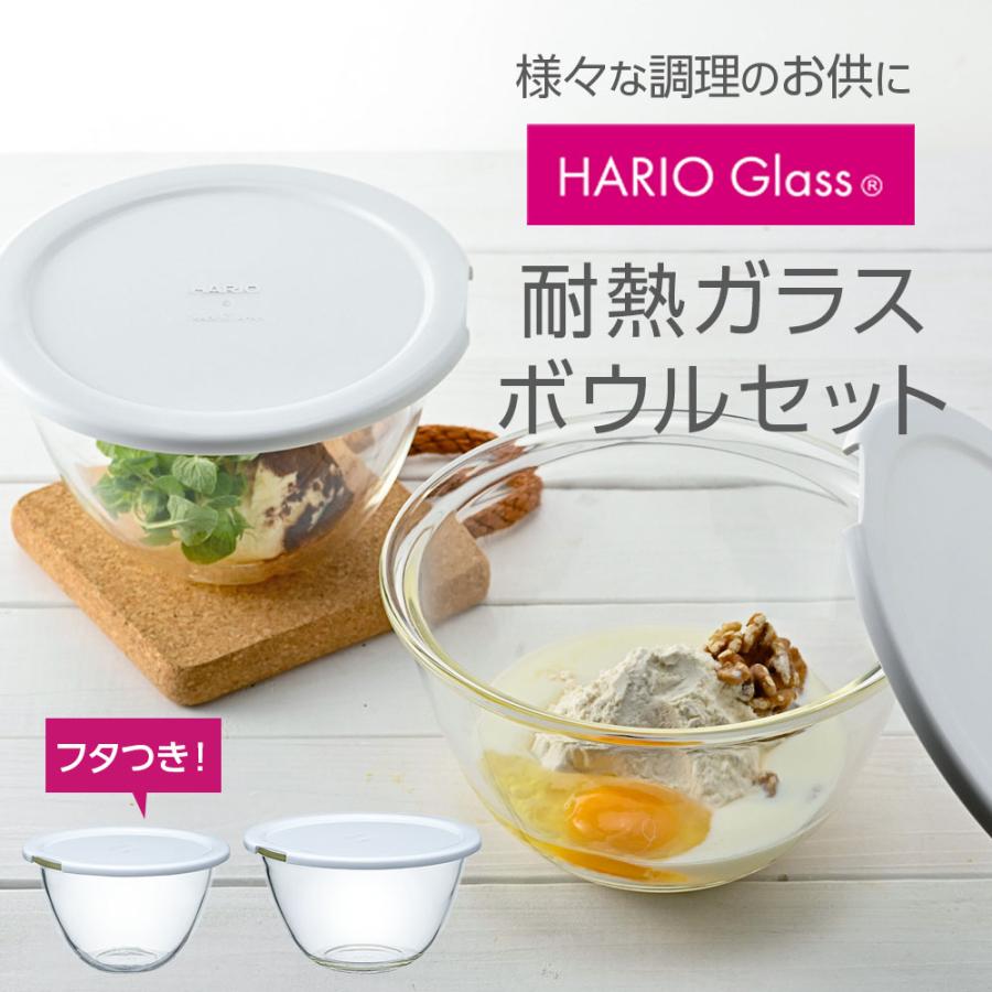 HARIO（ハリオ） フタ付き耐熱ガラス製ボウル 2個セット 1500ml/2200ml