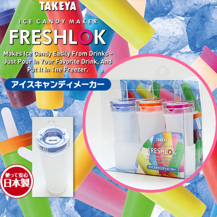 TAKEYA（タケヤ） フレッシュロック アイスキャンディメーカー 3個入り