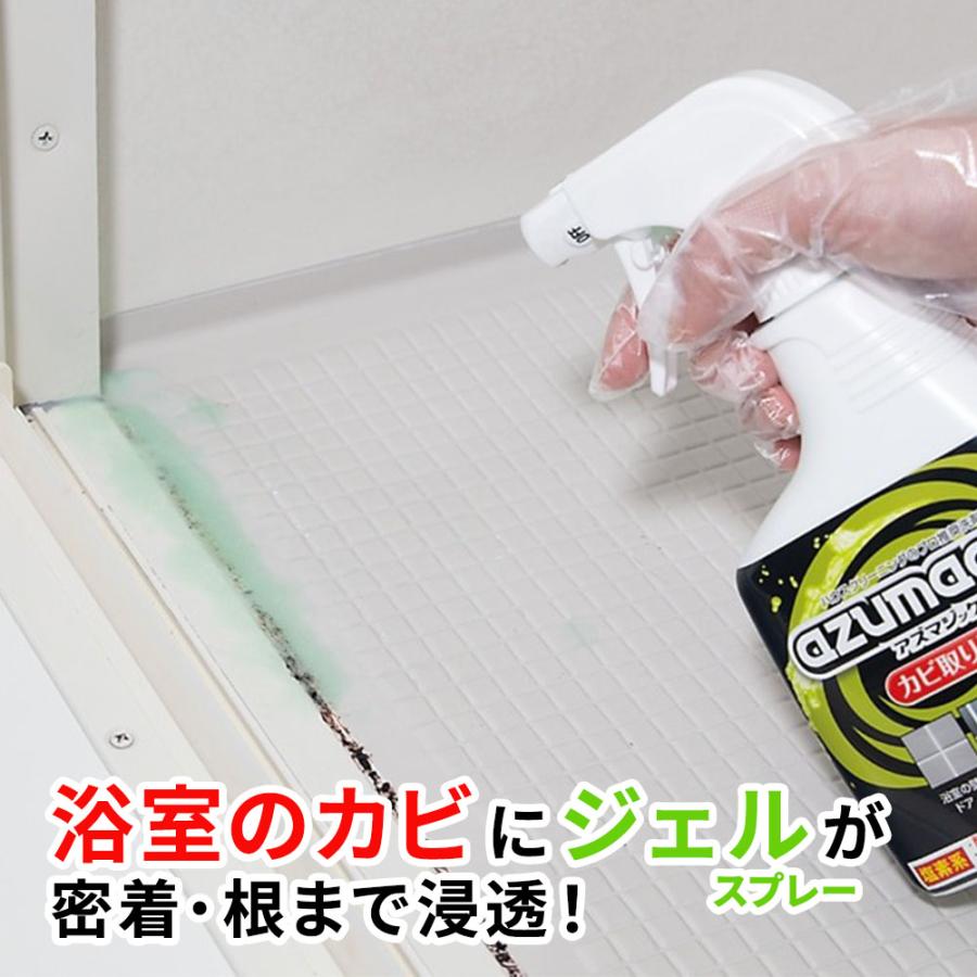 アズマ工業 アズマジック カビ取り洗剤 400ml CH880 ｜ プロ推奨 浴室