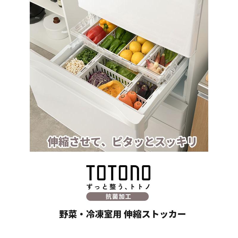 トトノ リッチェル 冷蔵庫収納ボックス トトノ（totono） 野菜・冷凍室