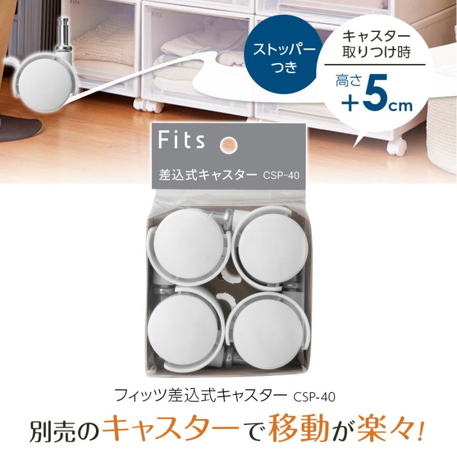 Fits 収納ケース フィッツケースクローゼット 幅39×奥行53×高さ30cm