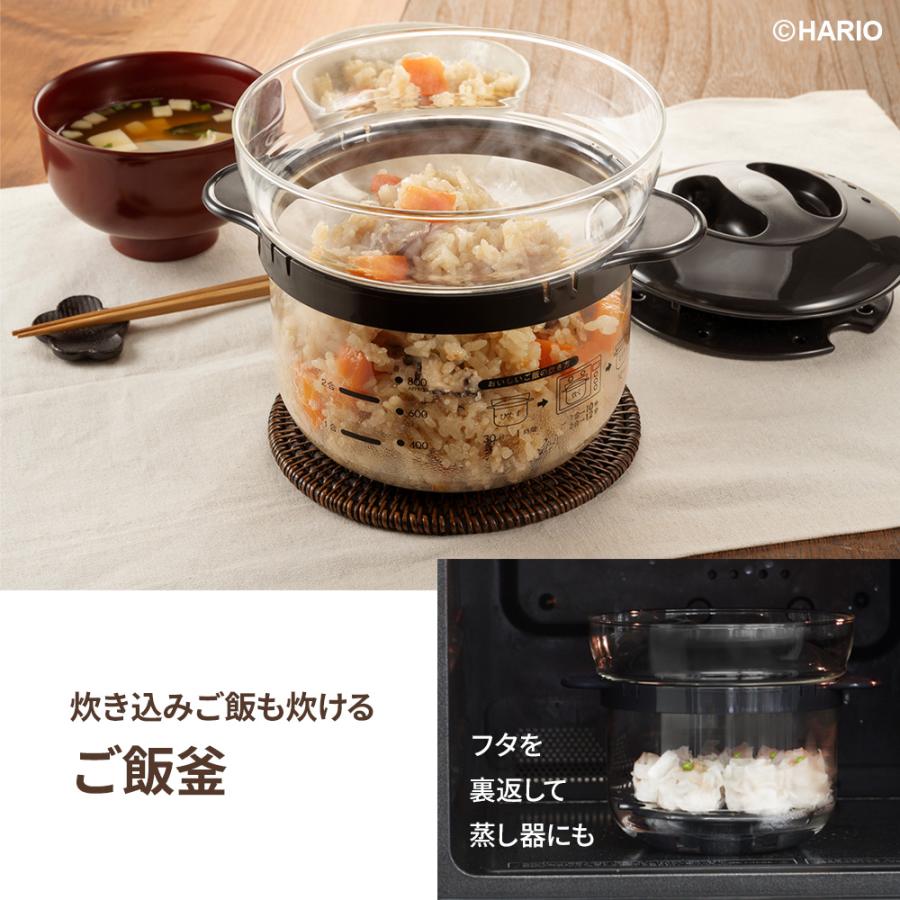 HARIO（ハリオ） ガラスのレンジ ご飯釜とおかず鍋のセット XRCN-2-B
