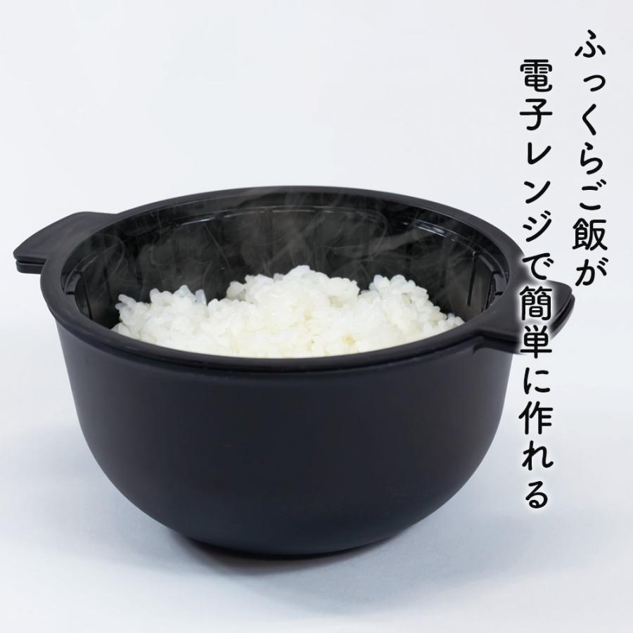 不動技研（FUDOGIKEN） レンジで ご飯一合炊き ブラック F2673 ｜ 電子