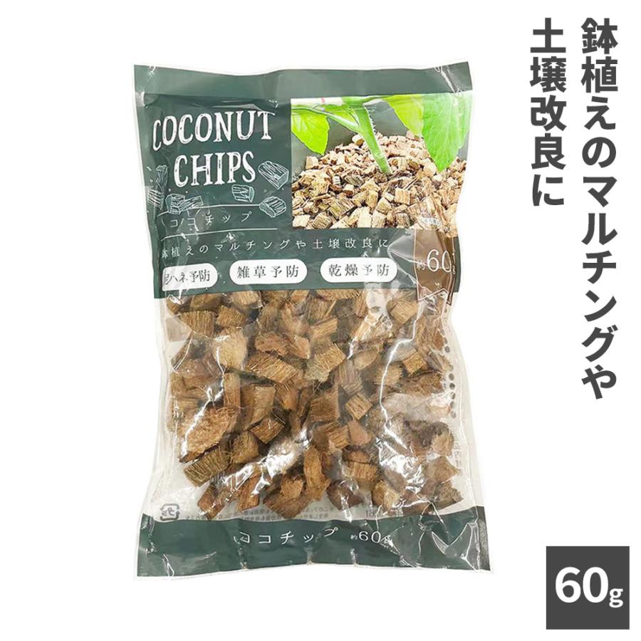 マルチング材 ココチップ 60g 1542 ｜ ココナッツ ウッドチップ