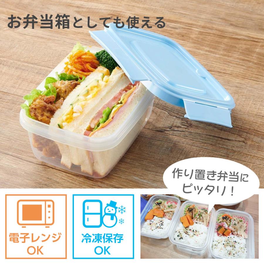 EBiSU（エビス） 保存容器 パックスタッフ ジャストロック 長方形 L