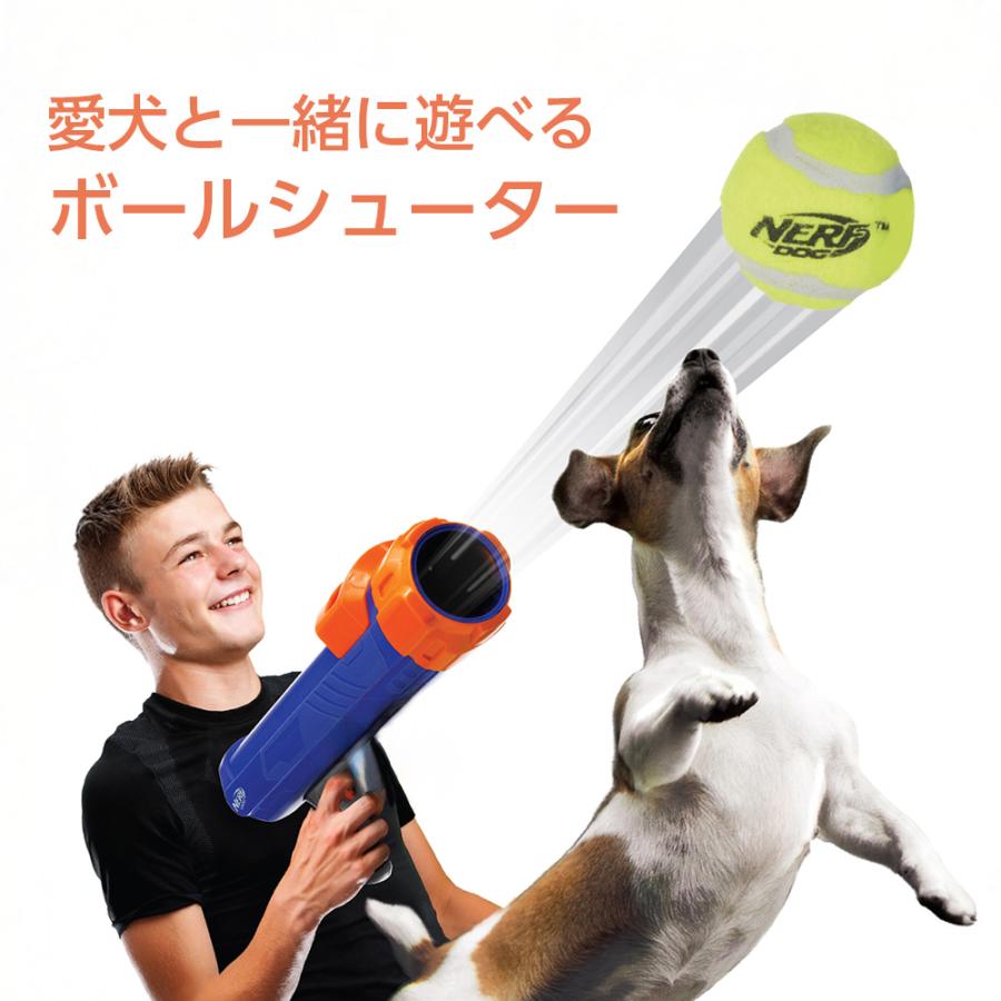 リッチェル（Richell） 犬と遊ぶ おもちゃ ナーフドッグ ストライク