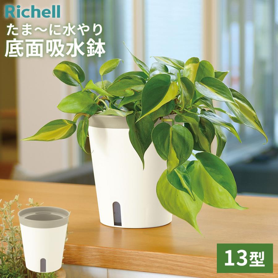 鉢・プランター R リッチェル（Richell） 植木鉢 ミエルノPlus ポット 13型N ホワイト