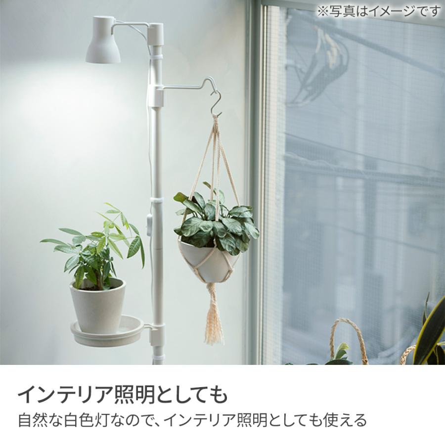 リッチェル（Richell） ボタニー 植物育成用 LED電球（E26） 1型