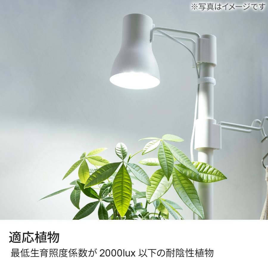 リッチェル（Richell） ボタニー 植物育成用 LED電球（E26） 1型