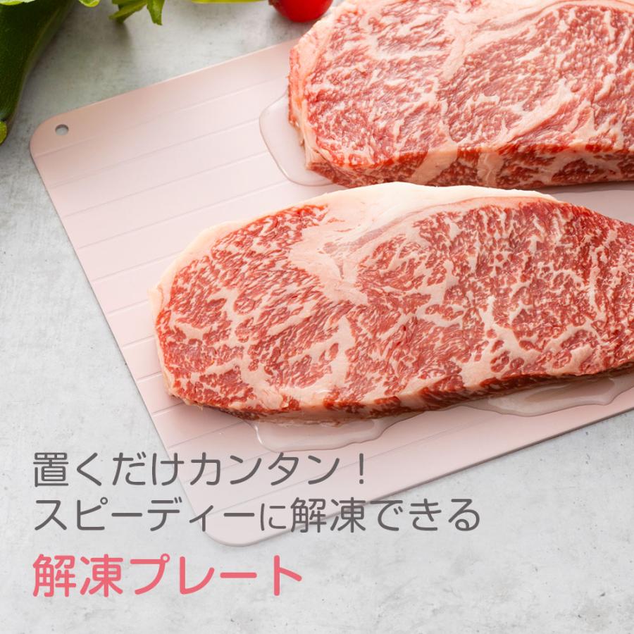 アール 置くだけカンタン 解凍プレート L ピンク ｜ 急速 解凍