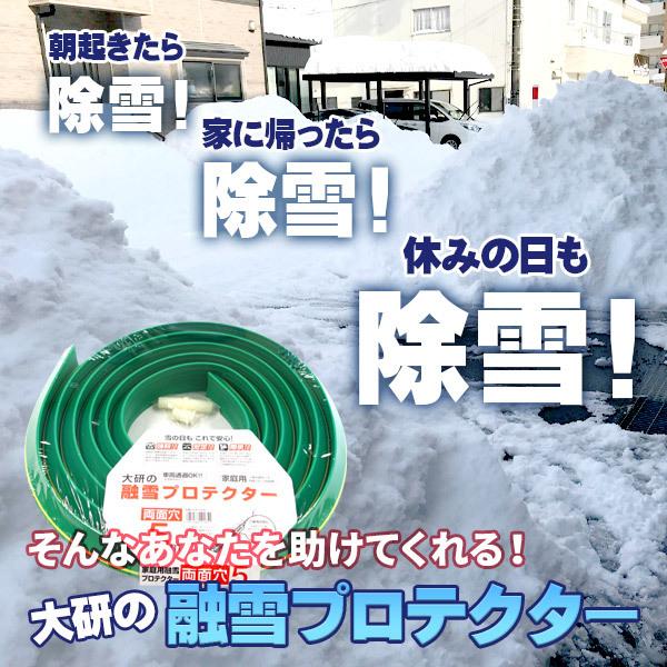 融雪ホース 大研の融雪プロテクター 5m 両面穴 グリーン Kup 05w 融雪プロテクター 家庭用 水道ホース連結 融雪 散水 消雪ホース びーんず生活雑貨デポ 通販 Paypayモール