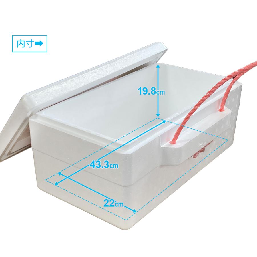 発泡箱 スチロ スチロールBOX（3号L） 約19L 白 PB-6