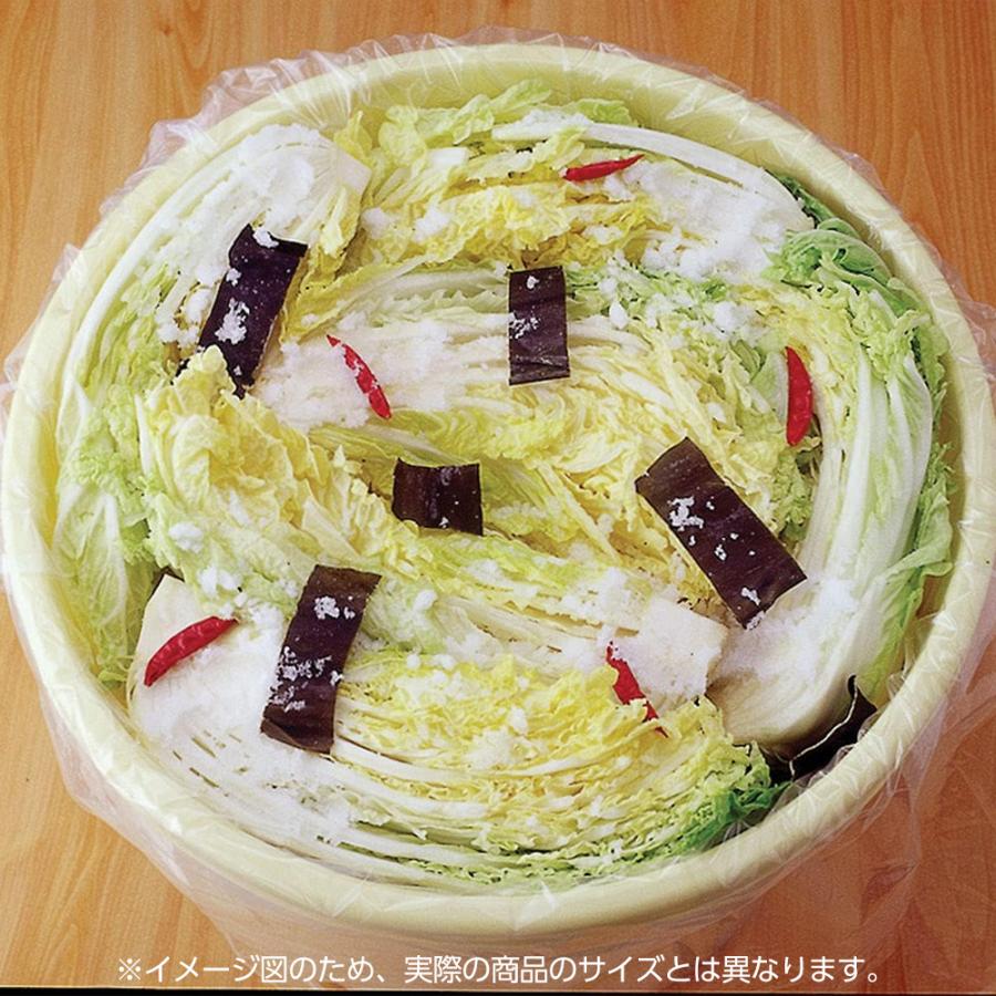 RISU（リス） 漬物樽 つけもの樽 5.1L NI5型 ｜ 漬物容器 プラスチック