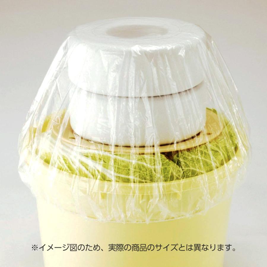 RISU（リス） 漬物石 つけもの重石 2.5kg #25R ｜ つけもの石 重し