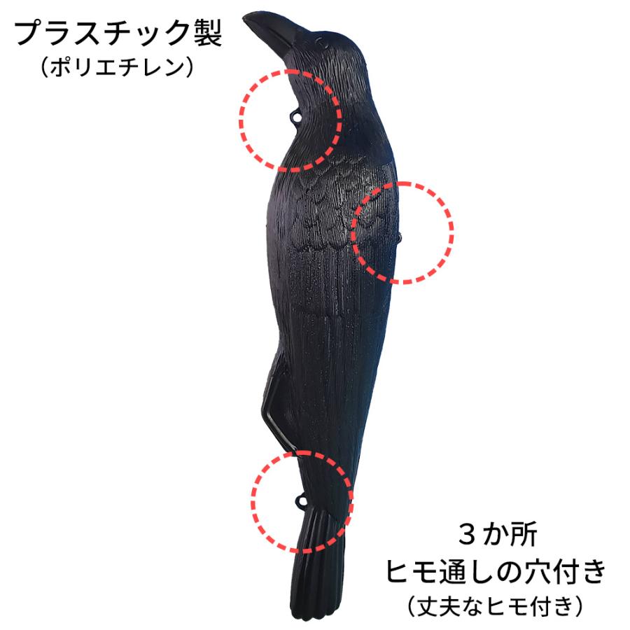 鳥よけ 害鳥対策グッズ コワガラス ブラック EG-18 ｜ カラス 鳥 防鳥