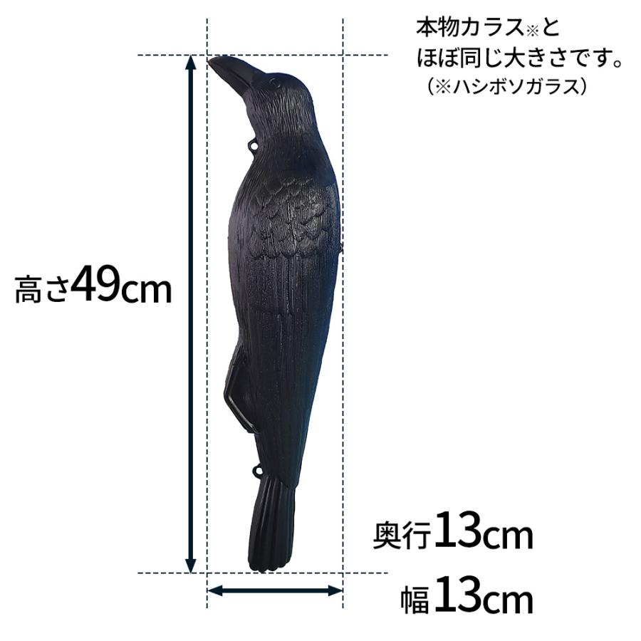 染付け鳥図 CATEGORY 色絵 | 吉祥寺PukuPuku