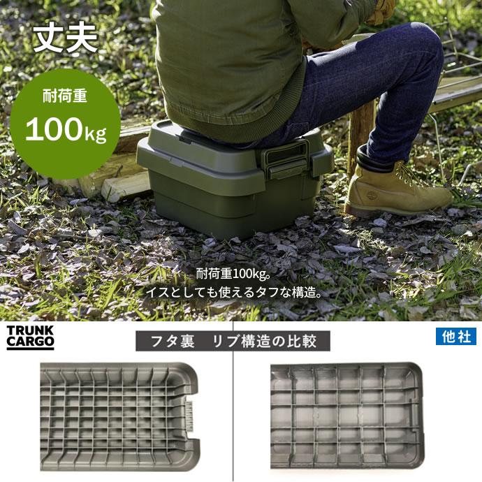 RISU（リス） アウトドア 収納ボックス 浅型 トランクカーゴ TC-30S