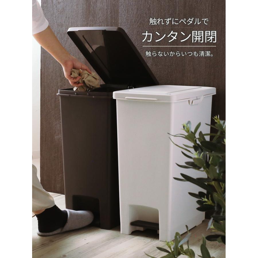 アスベル（ASVEL） ゴミ箱 エバンペダル45 SD 45L 2個セット 選べる