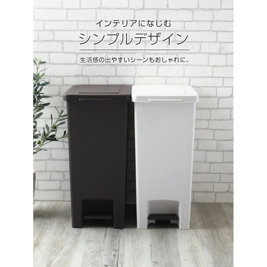 アスベル（ASVEL） ゴミ箱 エバンペダル45 SD 45L 2個セット 選べる