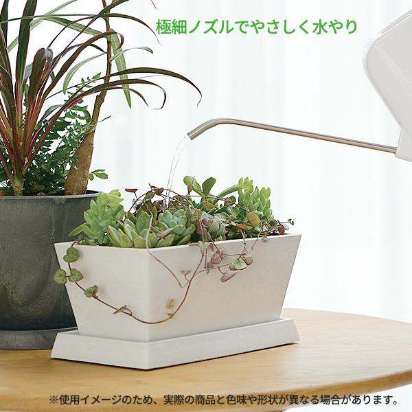 リッチェル（Richell） 水差し グレース レクタングルピッチャー 1L