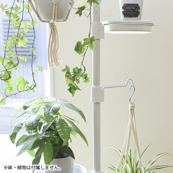 ハンギングフックセット　観葉植物　美品 リッチェル（Richell） ボタニー ハンギングポールセット 選べるカラー