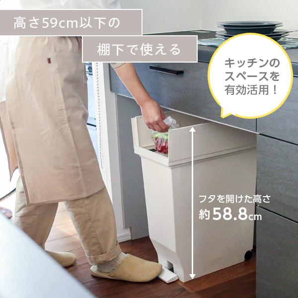 アスベル（ASVEL） ゴミ箱 エバン 両開きペダルペール 30L ブラック