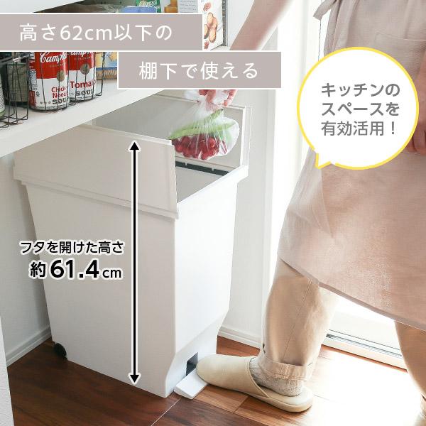アスベル（ASVEL） ゴミ箱 エバン 両開きペダルペール 40L 2個セット