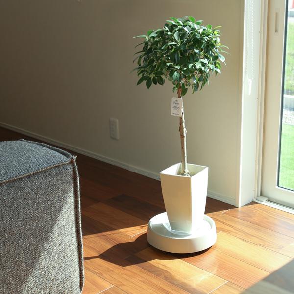 リッチェル（Richell） ラピス キャスタープレート S 選べるカラー