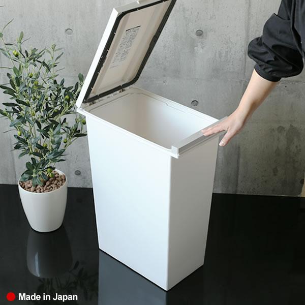 アスベル（ASVEL） ゴミ箱 キッチン エバンMP 密閉 プッシュペール 30L