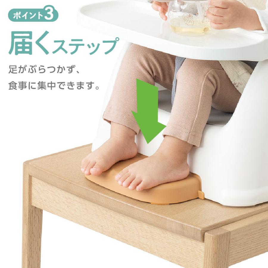 リッチェル（Richell） ベビーチェア フィージーR ｜ 赤ちゃん イス