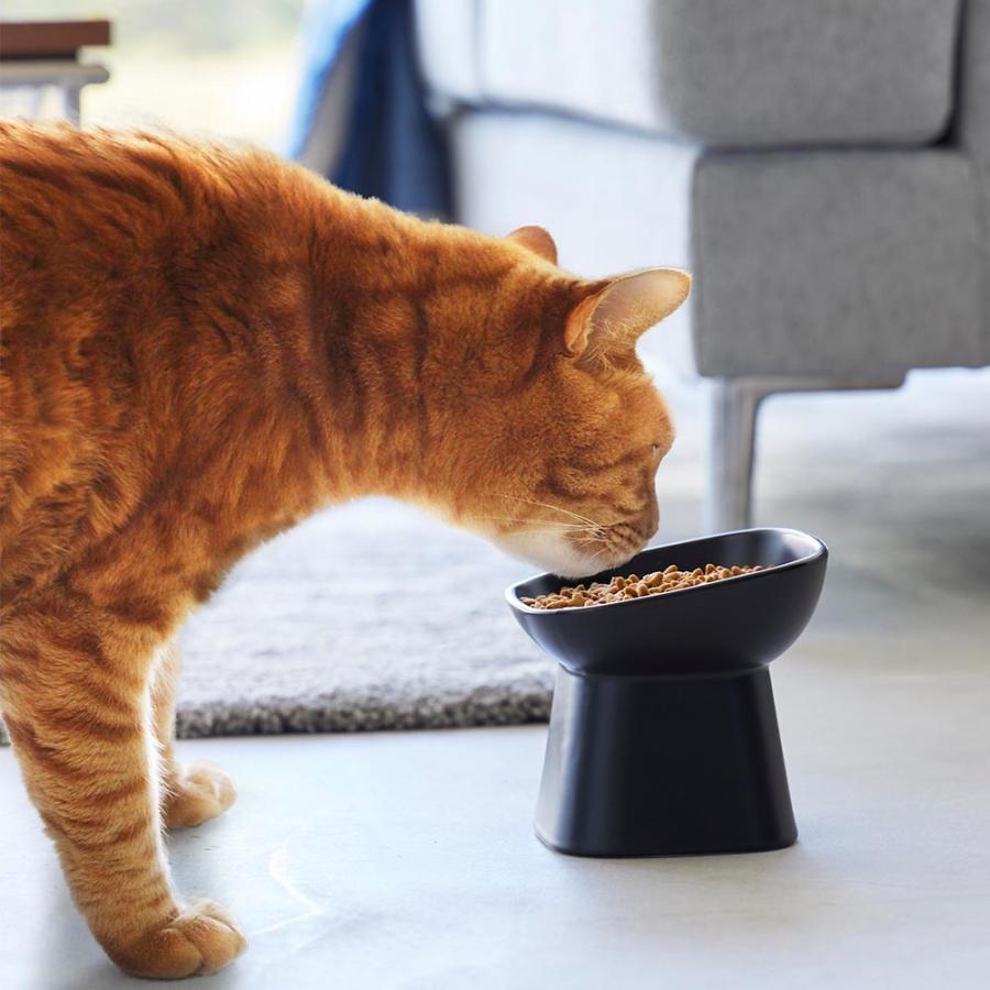 山崎実業 nooks ヌークス 食べやすい高さ 陶器ペットフードボウル 斜めトール 高さ11.5cm 約200mL ホワイト 1781 / ブラック 1782 | 山崎実業 | 09