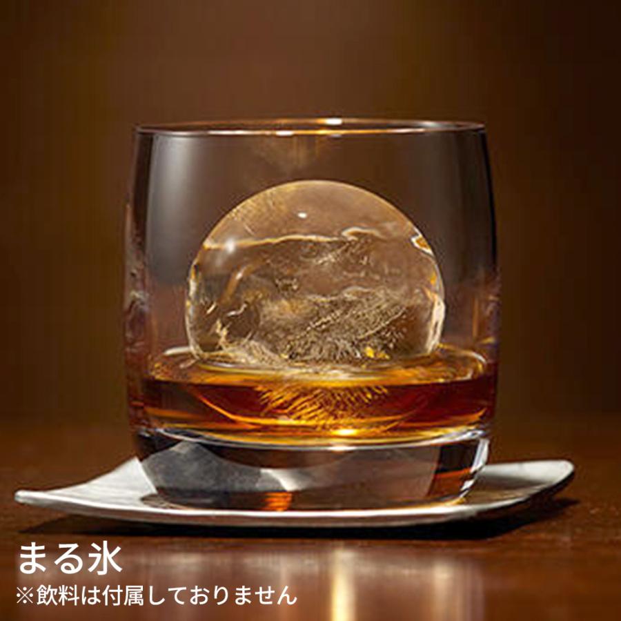 EBiSU（エビス） 製氷皿 家飲み アイストレー 選べる型 チューハイ