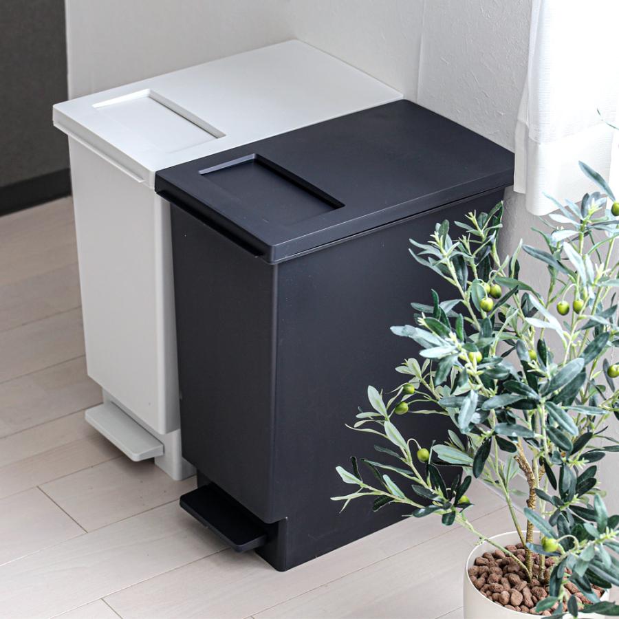 新輝合成 ゴミ箱 スウィッシュ 小窓付きスリムペダル 2個セット 45L