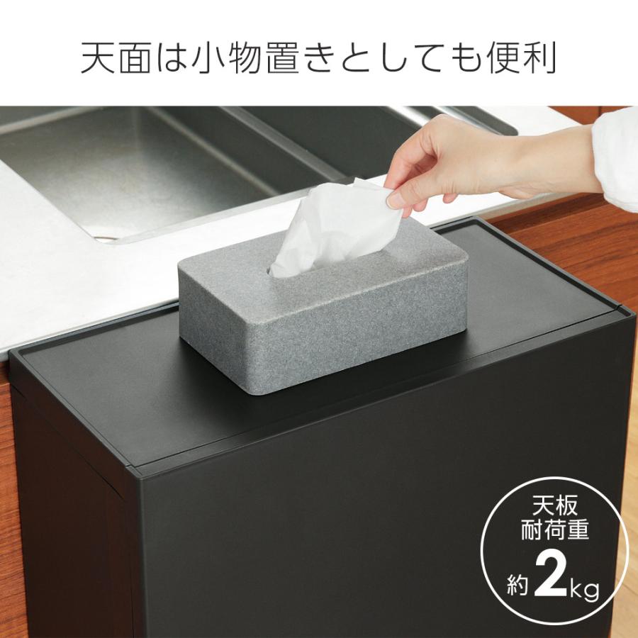 RISU（リス） ゴミ箱 SOLOW ソロウ 通路で使えるペダル分別ストッカー2