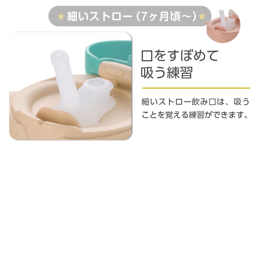 リッチェル（Richell） ギフトセット トライ マグセット + スタイ