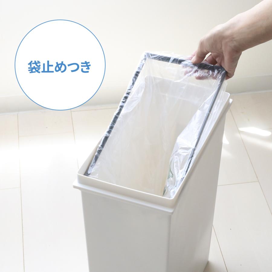 アスベル（ASVEL） ゴミ箱 棚下で使える 両開き プッシュ