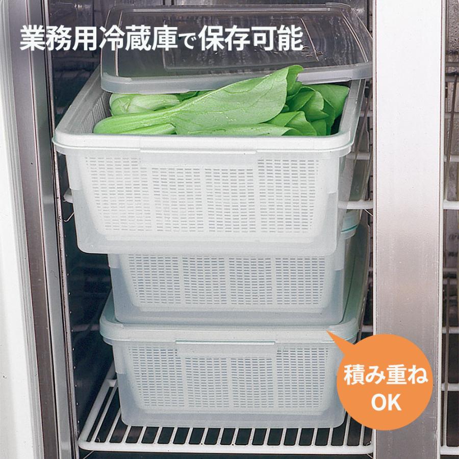 TAKEYA（タケヤ） 角型 ざる 保存容器 ざるコン 角 14L ｜ コンテナー