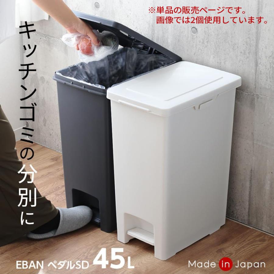 アスベル（ASVEL） ゴミ箱 エバンペダル45 SD 45L 分別シール付き