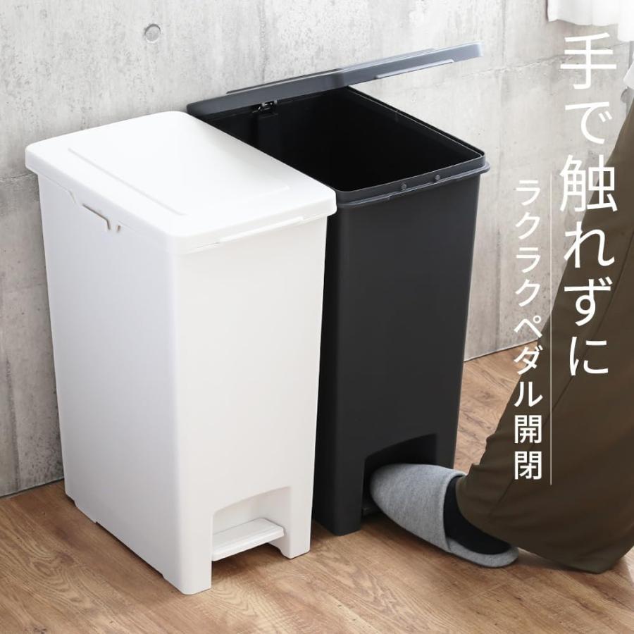 アスベル（ASVEL） ゴミ箱 エバンペダル45 SD 45L 分別シール付き