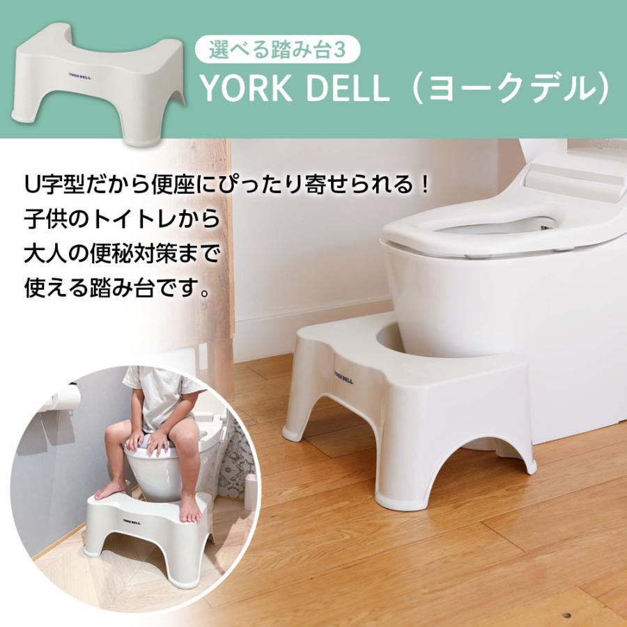 リッチェル（Richell） 山崎実業 トイサポ補助便座 + 収納フック +