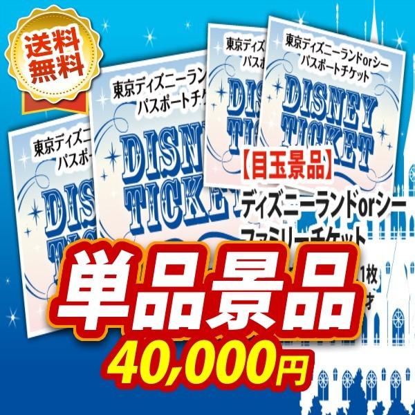 数量限定 二次会景品1点セット ディズニーファミリーチケット大人2枚 中人1枚小人1人 豪華a3パネル 目録 特典付き 送料無料 ポイント10倍 Www Doctor Plan Com